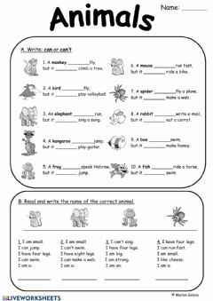 Exploring Diversity Kinds of Animals Worksheets